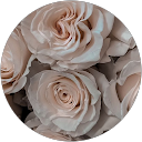 Jennifer S. Profilbild