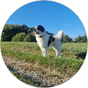 Djuro M. Profilbild
